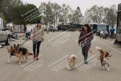 media/Nov-29-2025-TrackDaz (Sat) [[10ae2d9bce]]/Around the Pits/